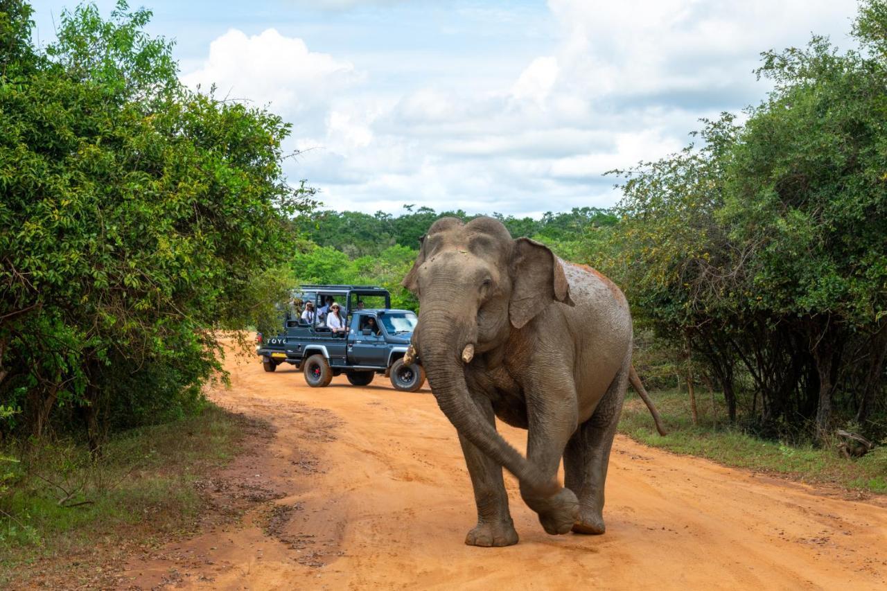 Hilton Yala Resort ภายนอก รูปภาพ